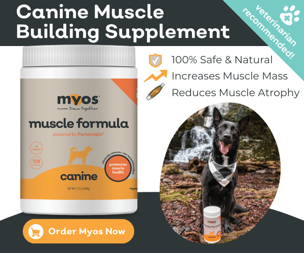 best dog food for muscle atrophy